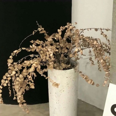 芮城福瑞交流群
